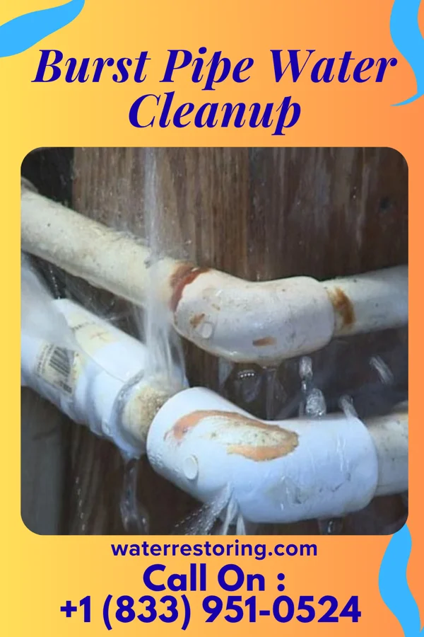 Burst Pipe Water Cleanup in Cove City, NC