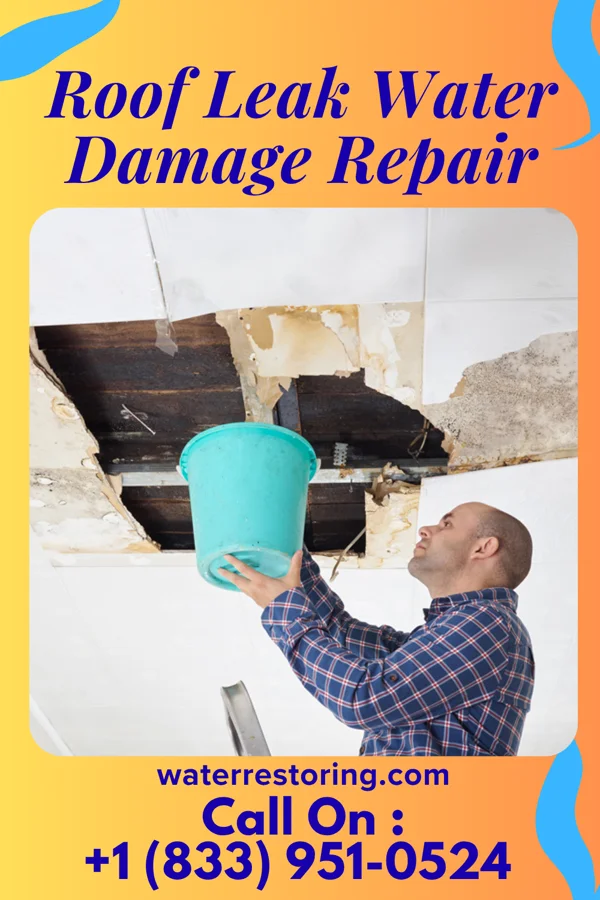 Roof Leak Water Damage Repair in Cove City, NC