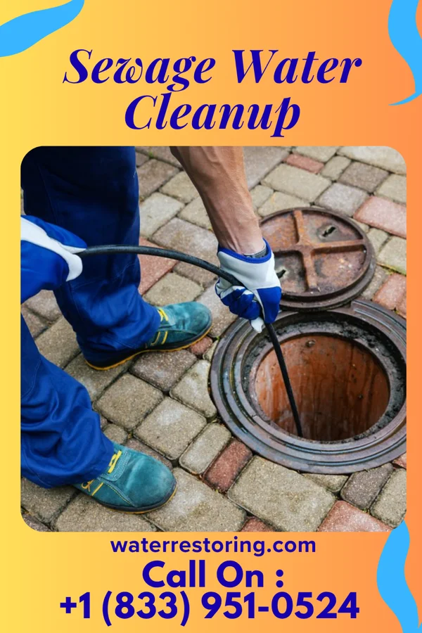 Sewage Water Cleanup in Cove City, NC