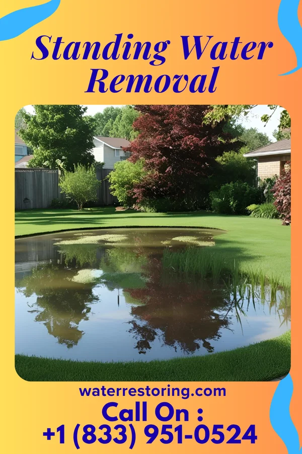 Standing Water Removal in Cove City, NC